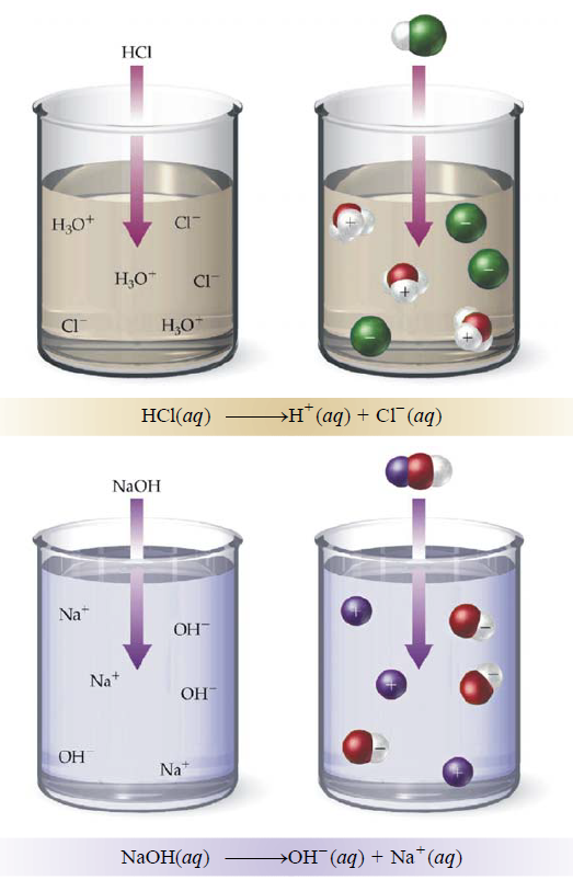 Arhenus Acid and Base